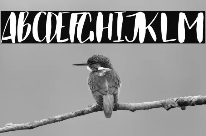 Just Believe Font examples