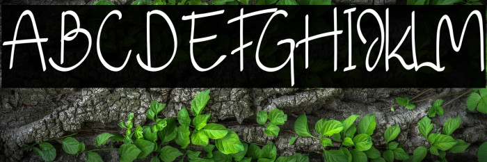 Just Blossom Example 3