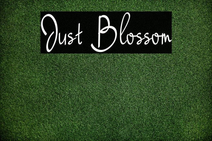 Just Blossom Example 1