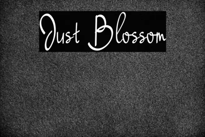 Just Blossom Font examples