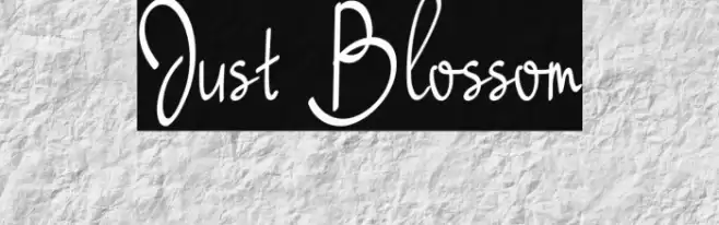 Just Blossom Font examples