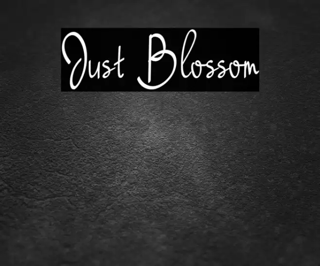 Just Blossom Font examples