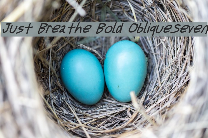 Just Breathe Bold ObliqueSeven Font examples