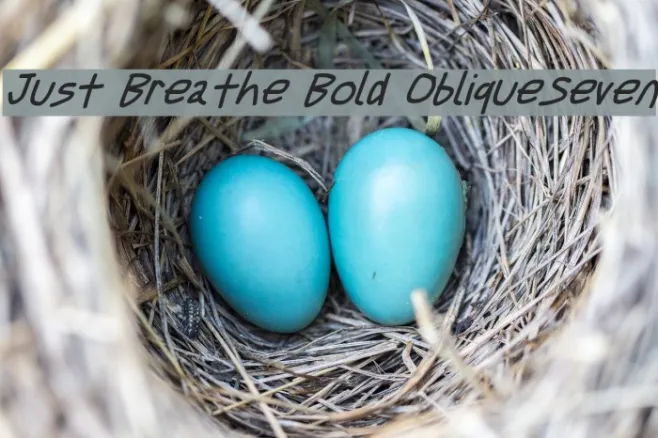 Just Breathe Bold ObliqueSeven Example 2