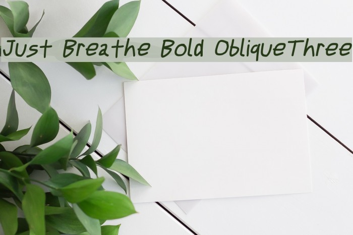 Just Breathe Bold ObliqueThree Font examples