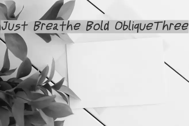 Just Breathe Bold ObliqueThree Polices examples