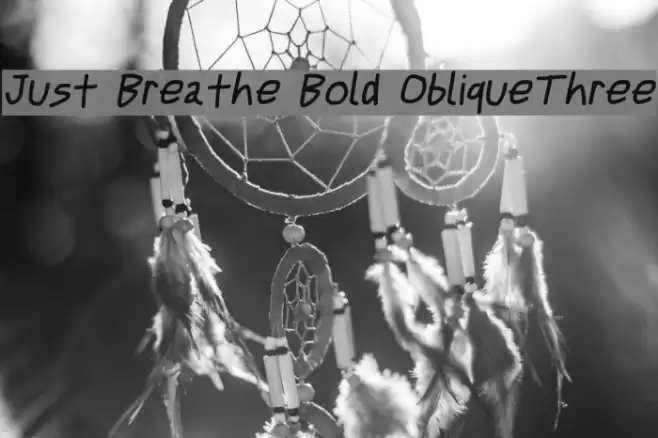 Just Breathe Bold ObliqueThree Polices examples