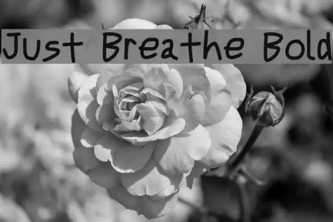 Just Breathe Bold Font examples