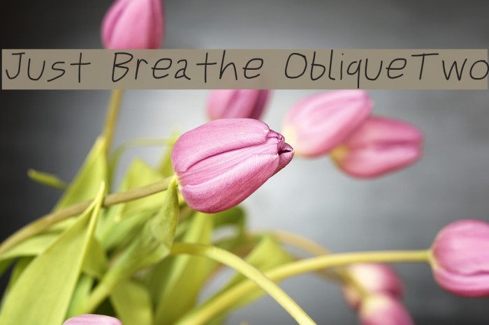 Just Breathe ObliqueTwo Font examples
