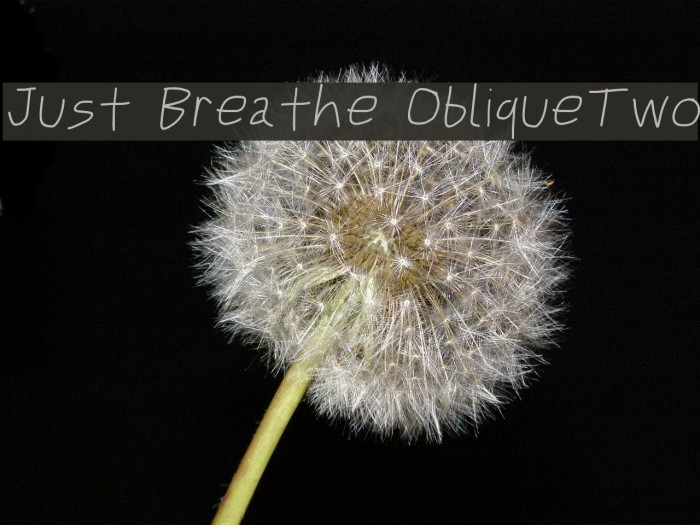 Just Breathe ObliqueTwo Font examples