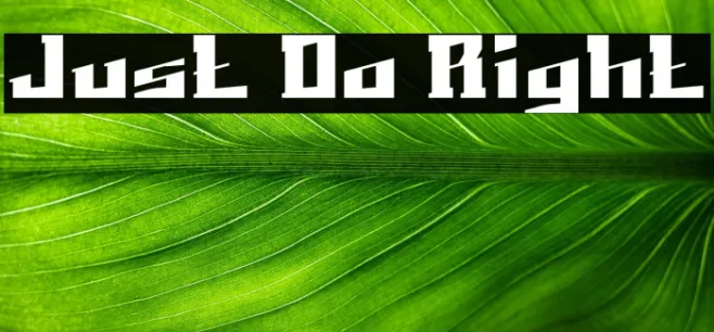 Just Do Right Example 3