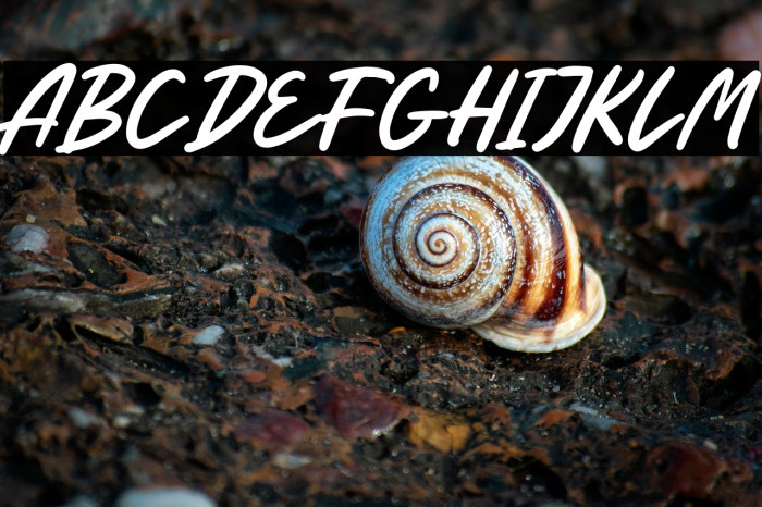 Just For You Free Trial Example 1