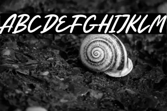 Just For You Free Trial خط examples