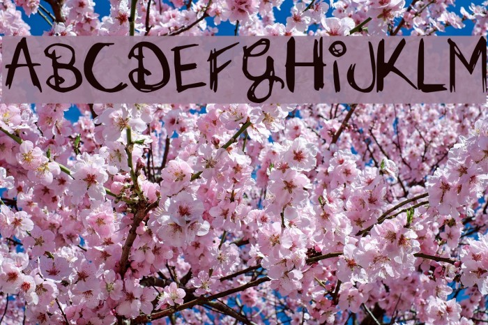 Just Jessie Font examples