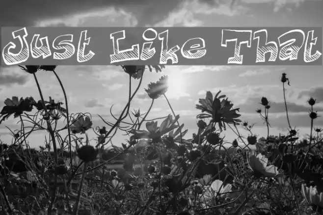 Just Like That Font examples