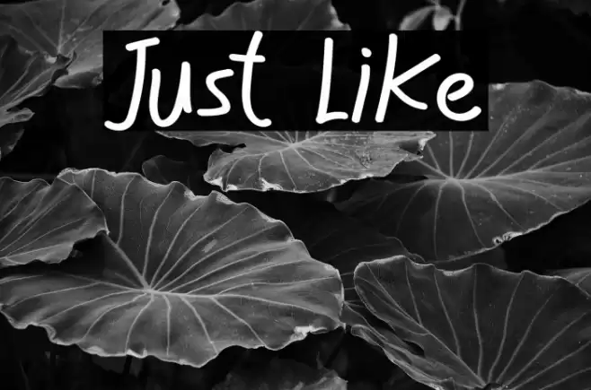 Just Like Font examples