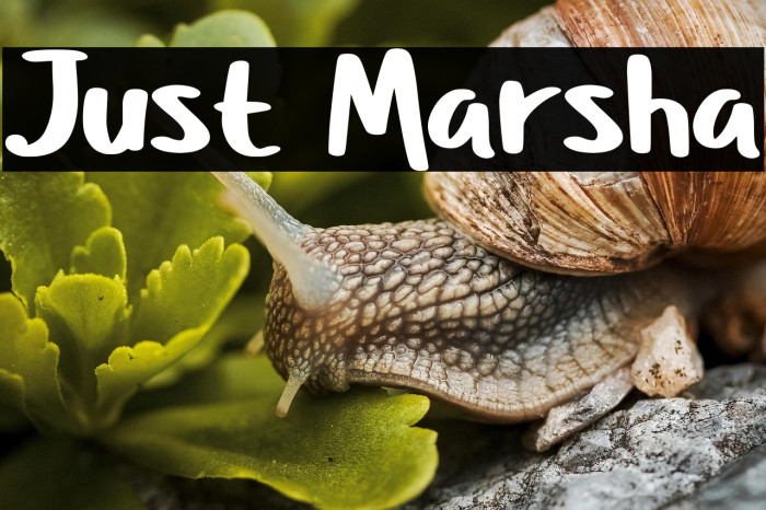 Just Marsha Example 1