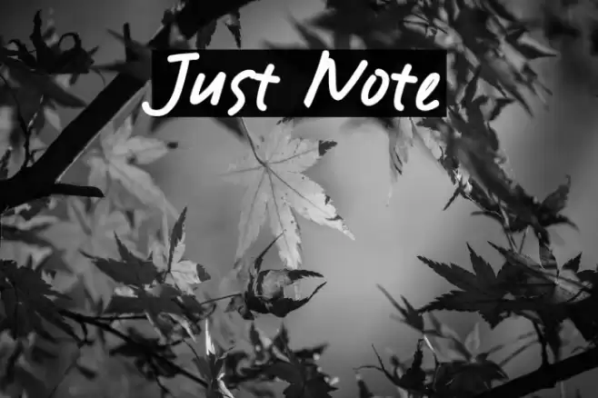 Just Note Font examples