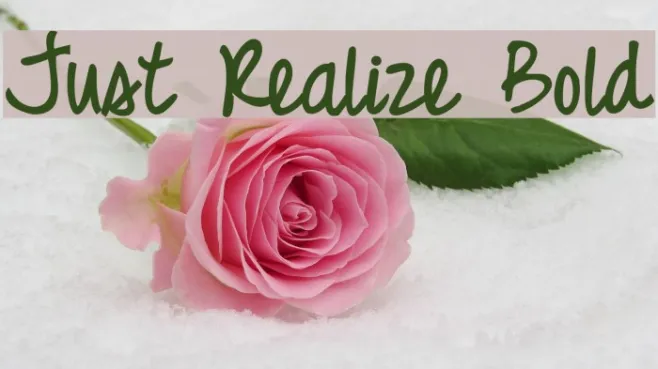 Just Realize Bold Example 2