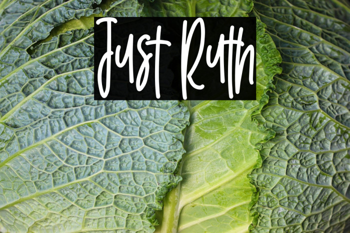 Just Ruth Font examples