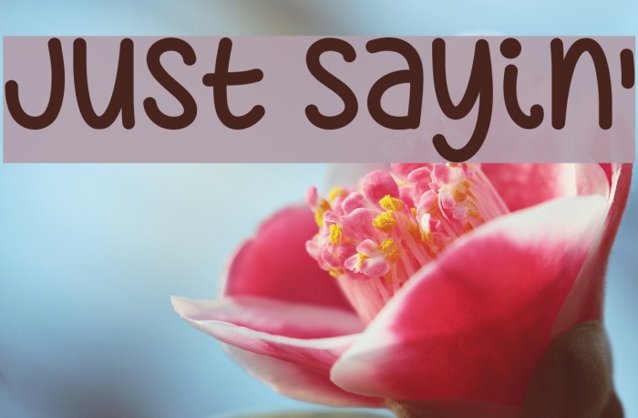 Just Sayin' Font examples