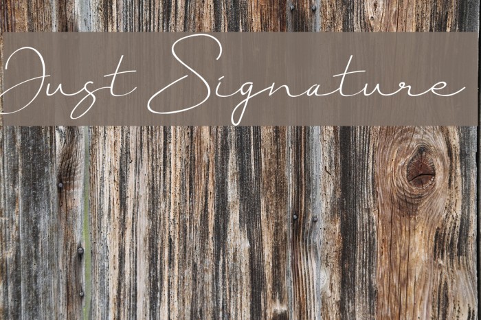 Just Signature Font examples