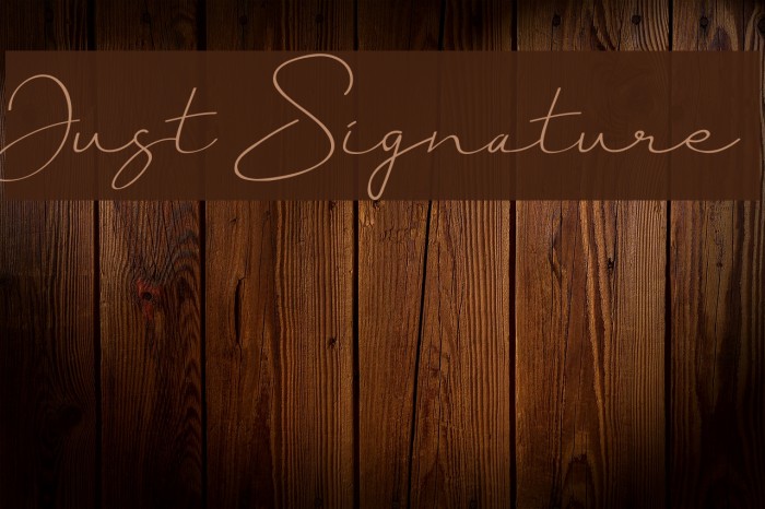 Just Signature Font examples