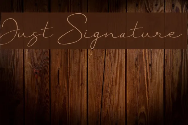 Just Signature Example 3