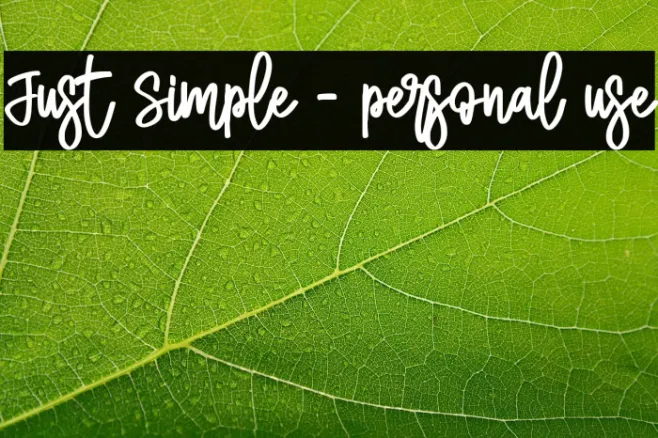 Just Simple - personal use Example 1
