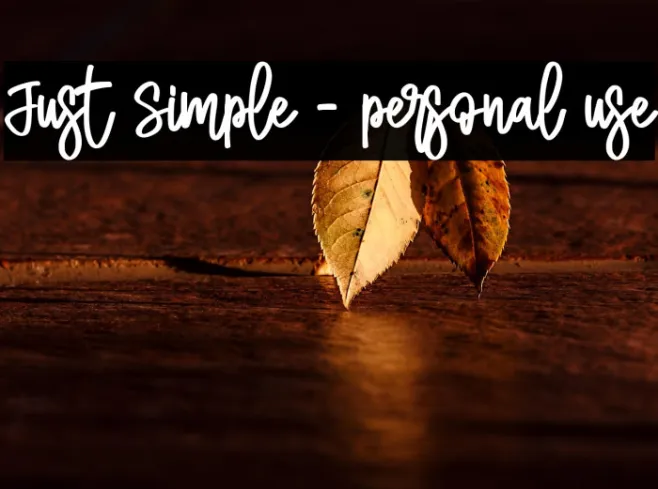 Just Simple - personal use Example 2