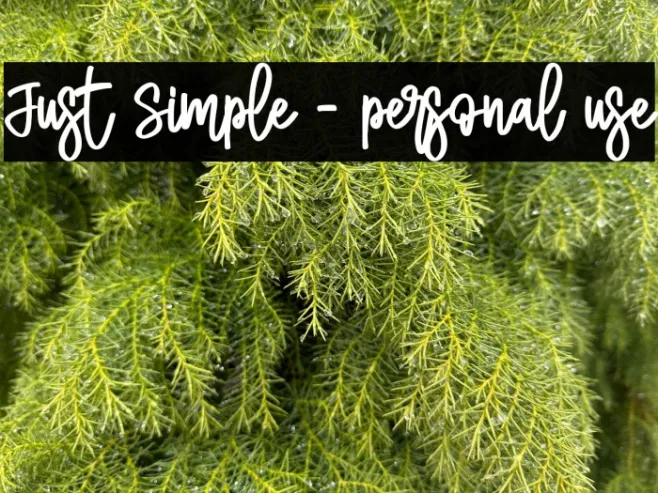 Just Simple - personal use Example 3