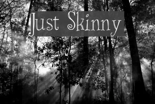 Just Skinny Font examples