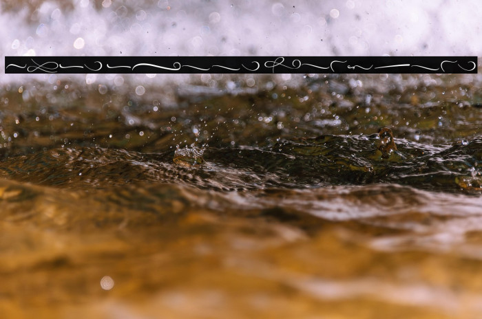 Just Sweet Ornament Example 1