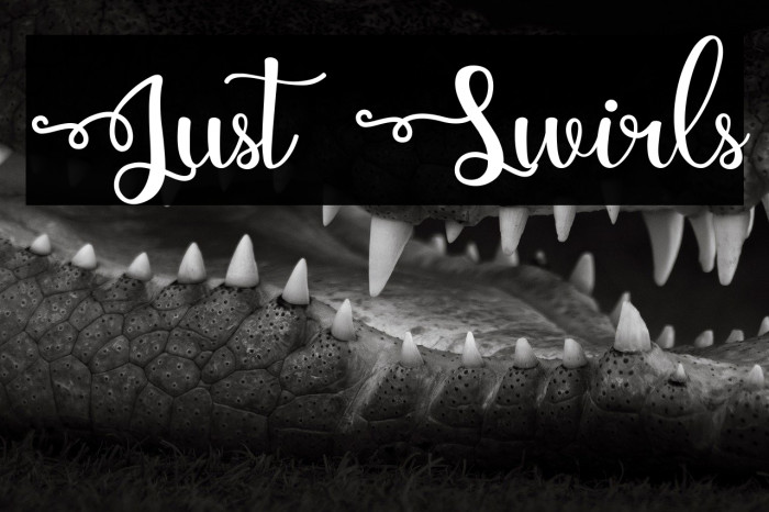 Just Swirls Example 2