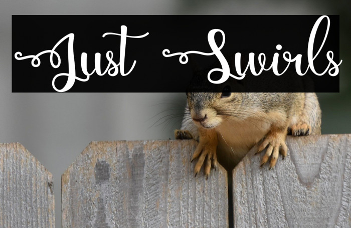 Just Swirls Example 3