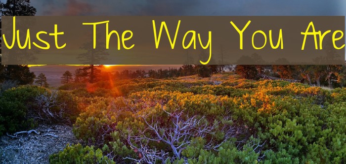 Just The Way You Are Font examples