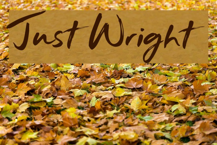 Just Wright Font examples