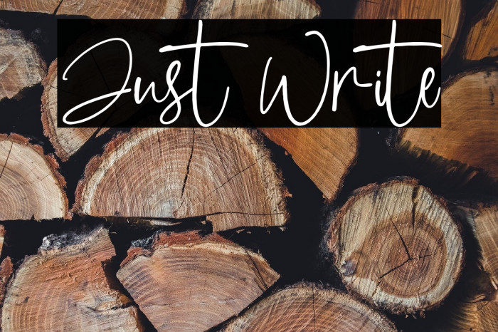 Just Write Example 3