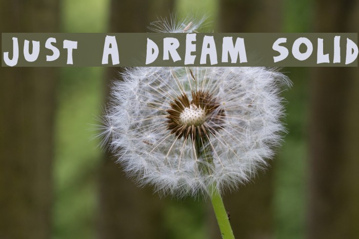 Just a dream Solid Font examples