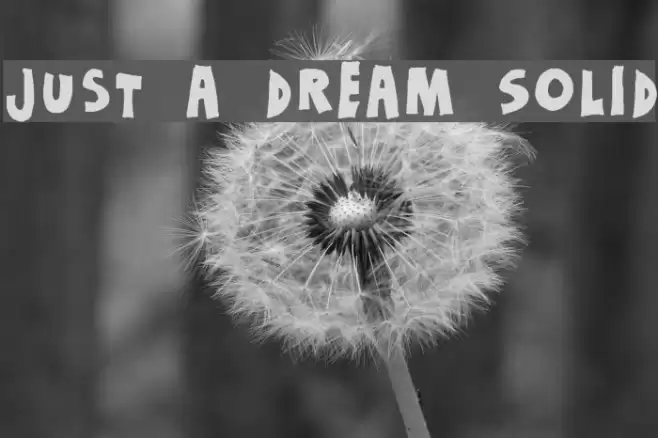 Just a dream Solid Шрифта examples