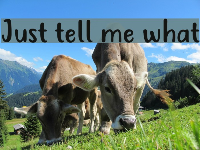 Just tell me what Font examples