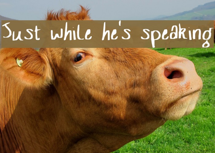 Just while he's speaking Font examples
