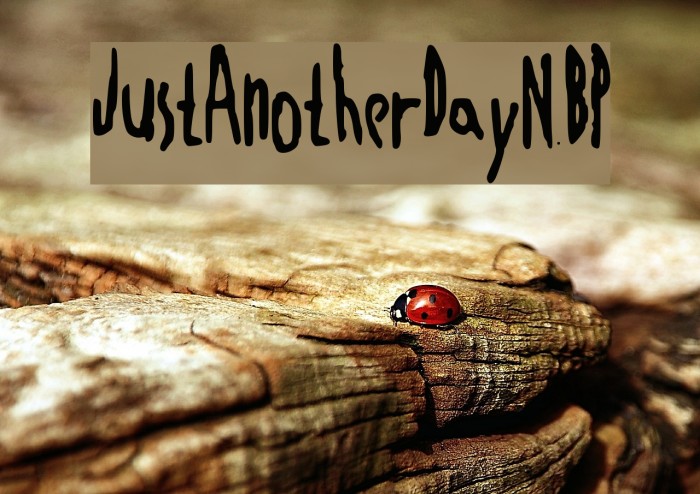 JustAnotherDayNBP Font examples