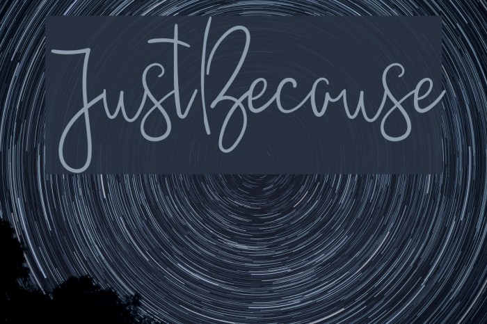 JustBecause Example 2