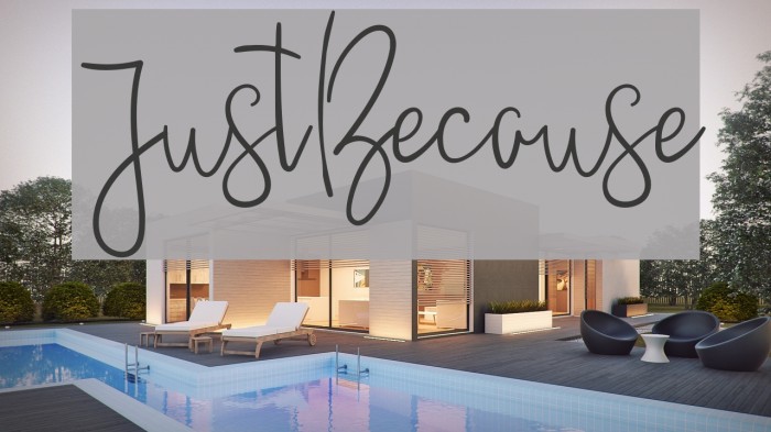 JustBecause Example 3