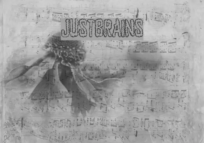 JustBrains Font examples