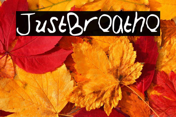 JustBreathe Example 2