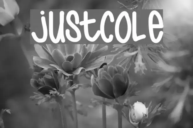 JustCole Font examples
