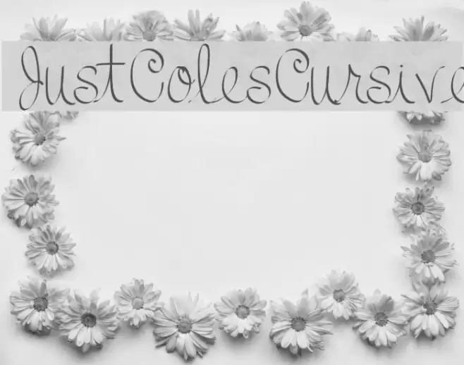 JustColesCursive Font examples