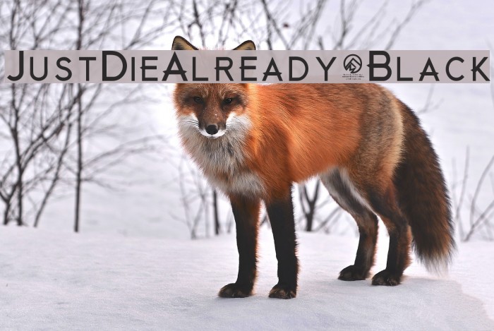 JustDieAlready-Black Example 3